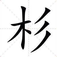 杉意思